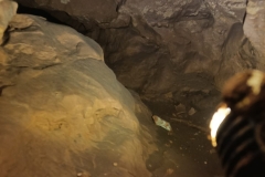 IMG-20210727-WA0012