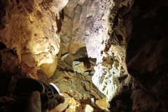 IMG-20210727-WA0014