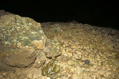 IMG-20230211-WA0065