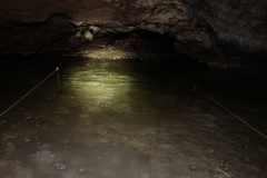 IMG-20210214-WA0038