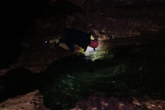 IMG-20210214-WA0061