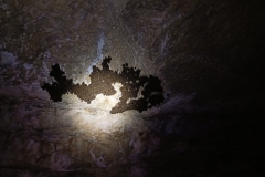 IMG-20210214-WA0064