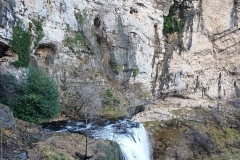 IMG-20210214-WA0066