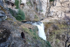 IMG-20210214-WA0067