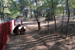 IMG-20220904-WA0082