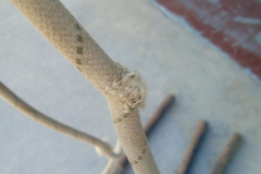 IMG-20230705-WA0017