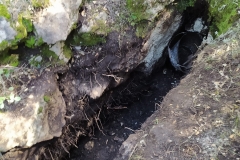 IMG-20210313-WA0035