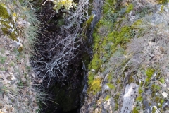 IMG-20210314-WA0035