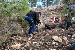 IMG-20201130-WA0011