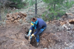 IMG-20201130-WA0022