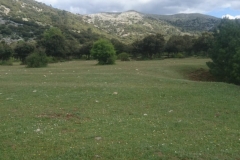 IMG-20190519-WA0012
