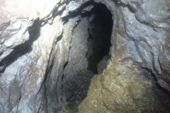 IMG-20190519-WA0017