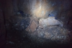 IMG-20190519-WA0018