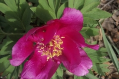 IMG-20210508-WA0003