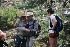 IMG-20210508-WA0007