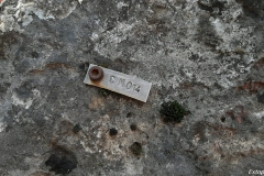 IMG-20210508-WA0018