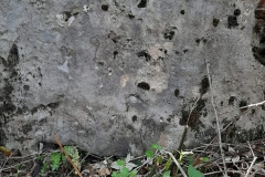 IMG-20210508-WA0019