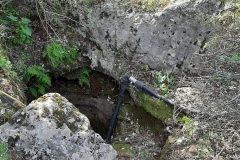 IMG-20210508-WA0020