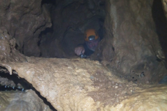 Tronchonis 11-01-2020