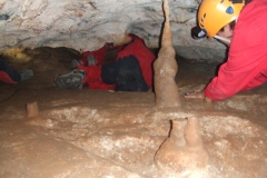 DSCF8935