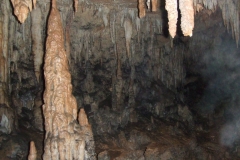 DSCF8938