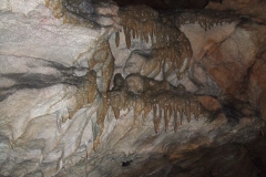 DSCF8941