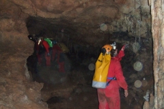 DSCF8942