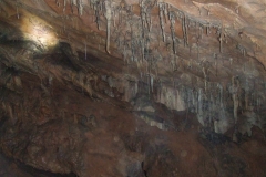DSCF8952