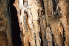 DSCF8958