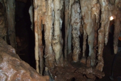 DSCF8959