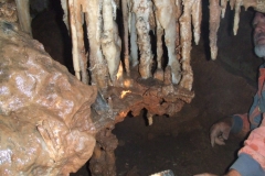 DSCF8960