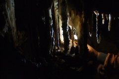 DSCF8963