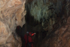 DSCF8970