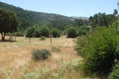 DSCF8974